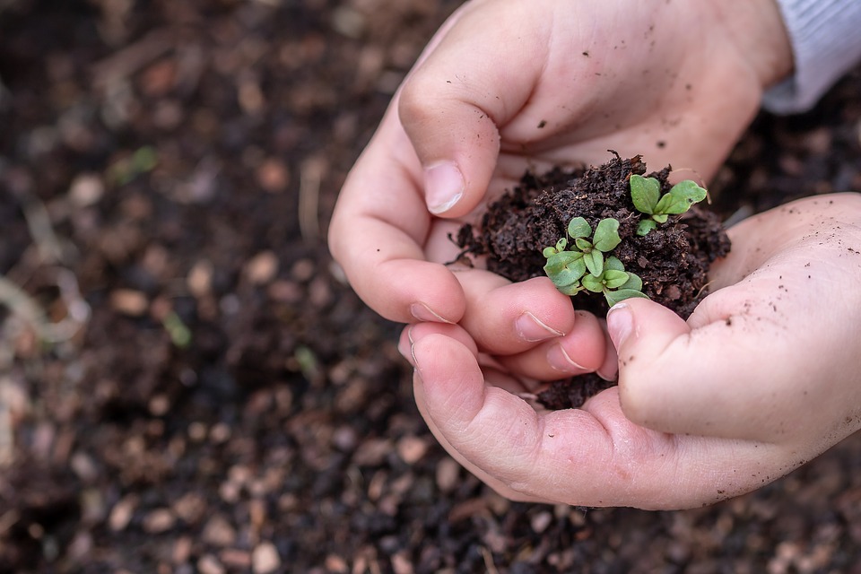 Scoperta dell'ambiente natuale